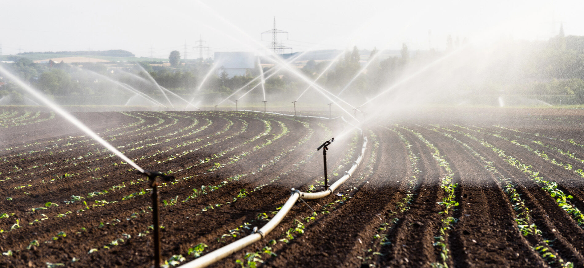 Australian Irrigators expected to have a busy Summer 