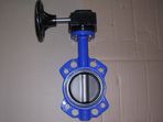 Cast iron lever action butterfly valves - lugged type